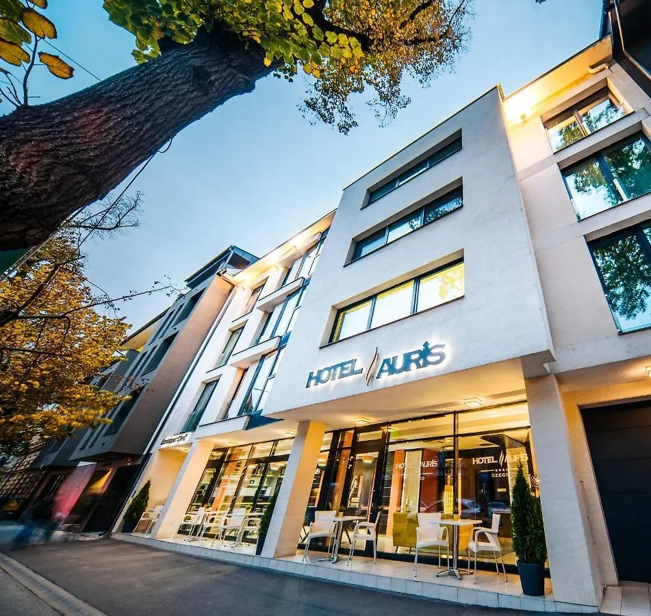 奥利斯酒店 塞格德 酒店