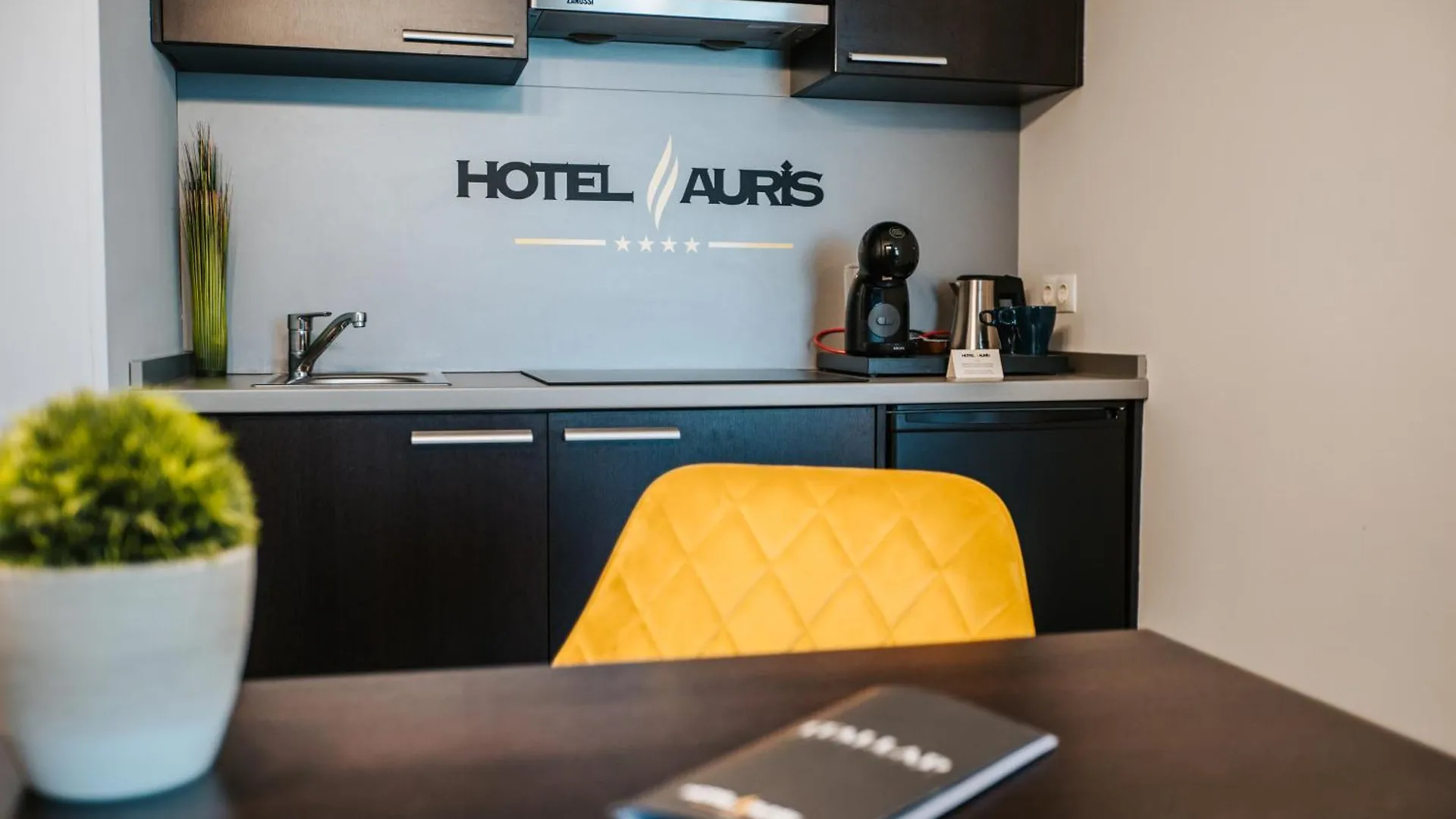 סגד Hotel Auris